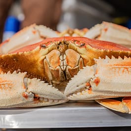 Cooked Dungeness Crab (Per Crab)